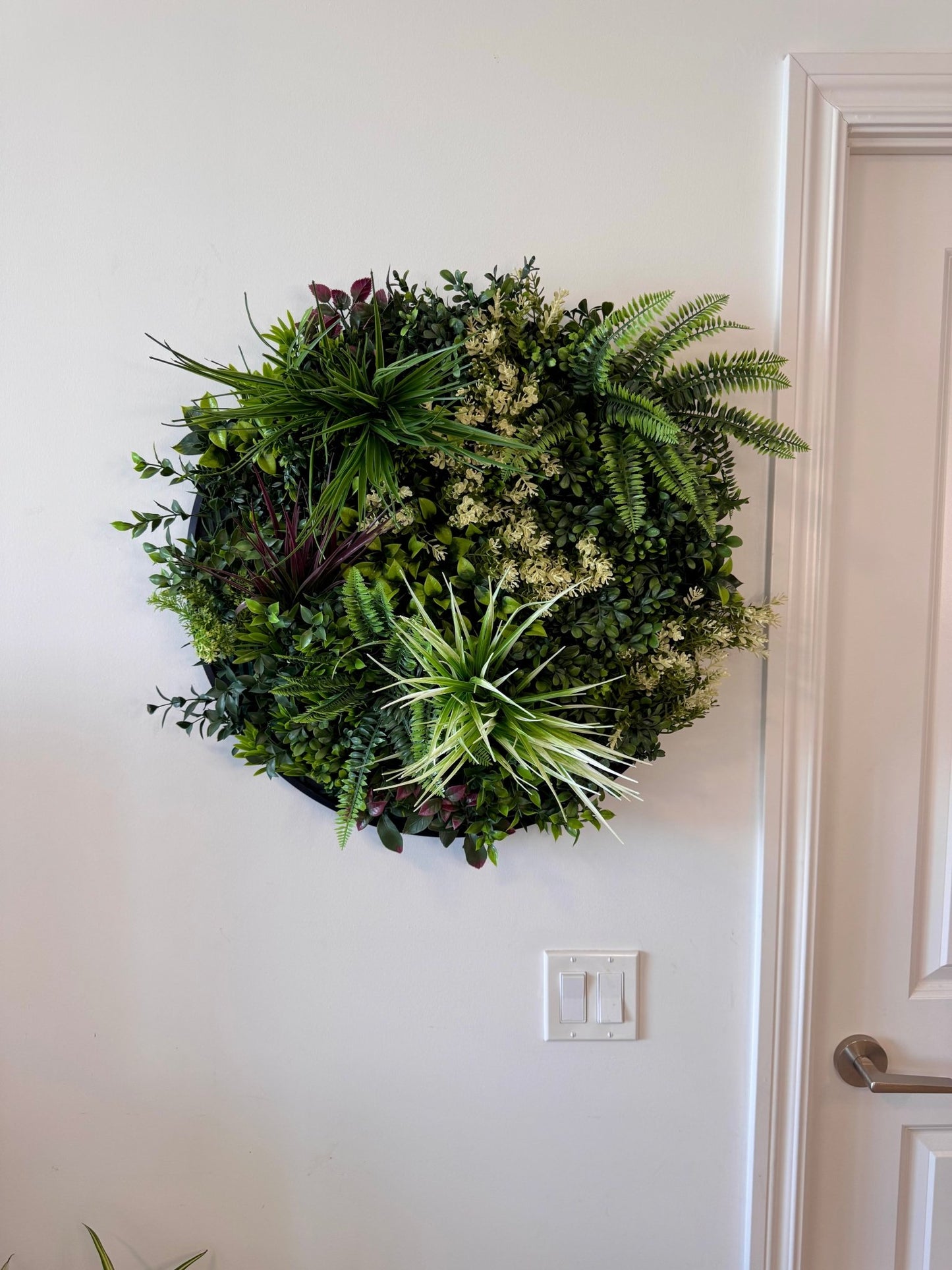Urban Oasis - Goodvibes Green Accents