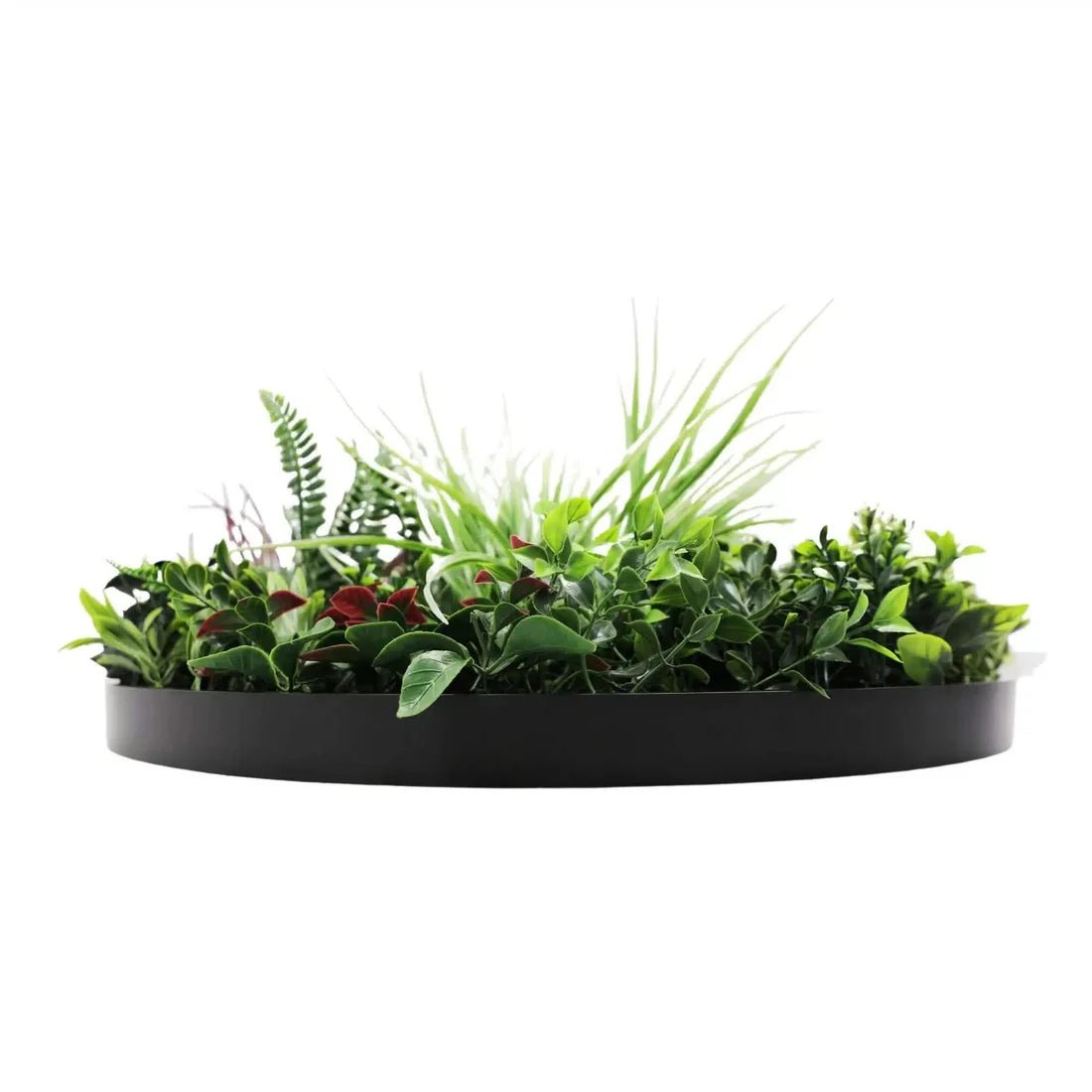 Urban Oasis - Goodvibes Green Accents